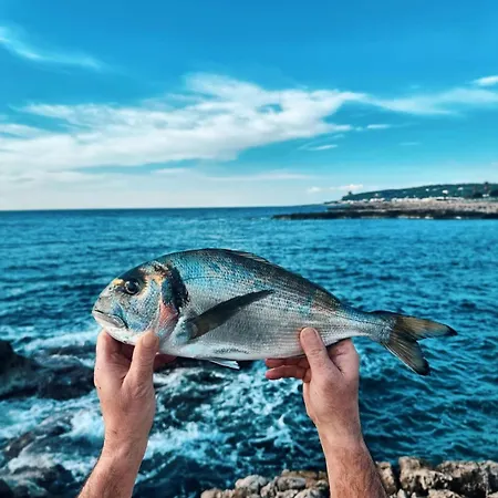 Corallo Ξενοδοχείο
