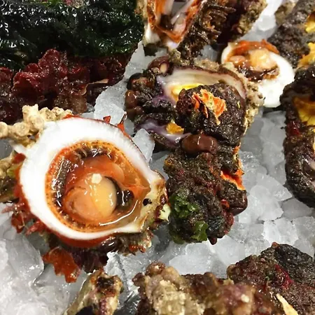 Corallo 3* סנטה מריה אל בניו